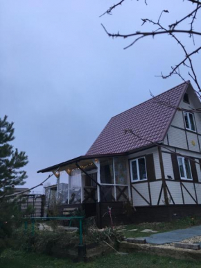 House Panoramy, Zhivotino